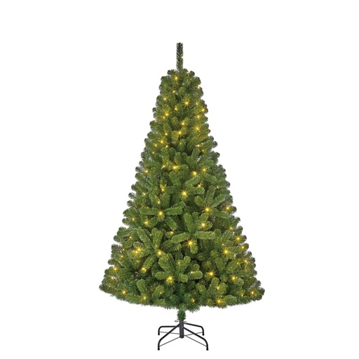 [1467914] Kerstboom Blackbox Charlton led groen 215cm