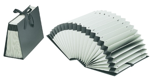 [530010] Sorteerordner Djois Diplo-Line folio A/Z 21 vakken zwart